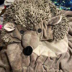 Hedgehog costume 12-18 months